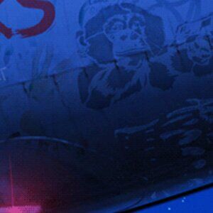 Meet your Posher, Sam